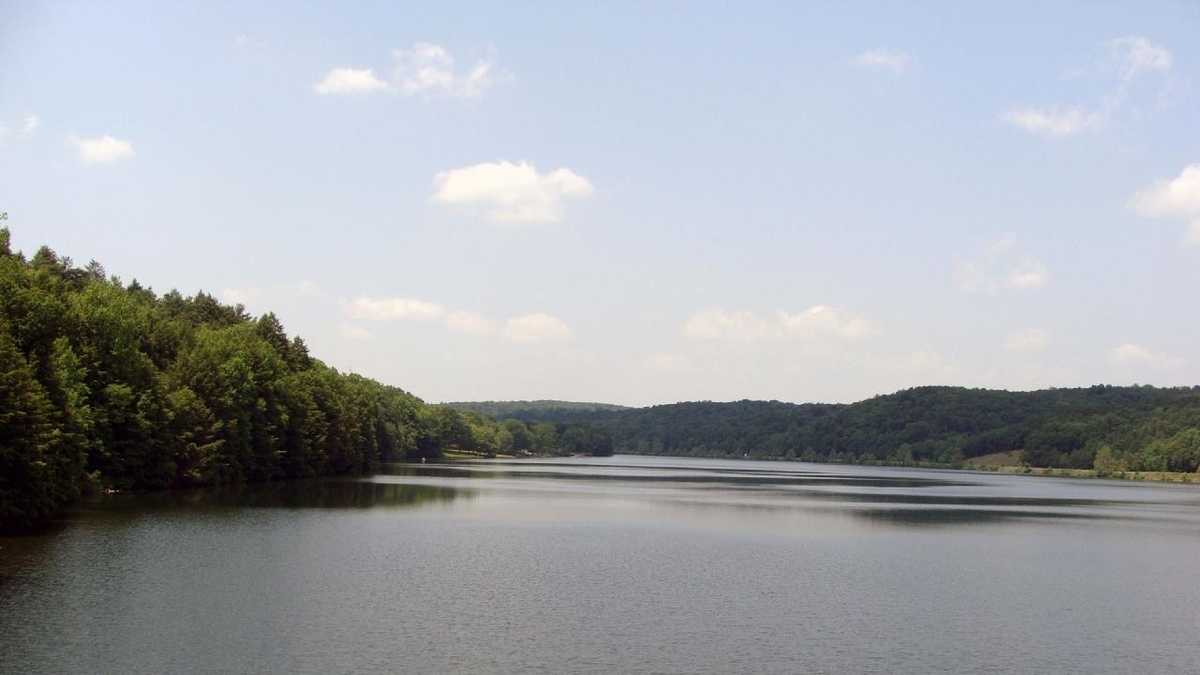Boat, fish at Holman Lake