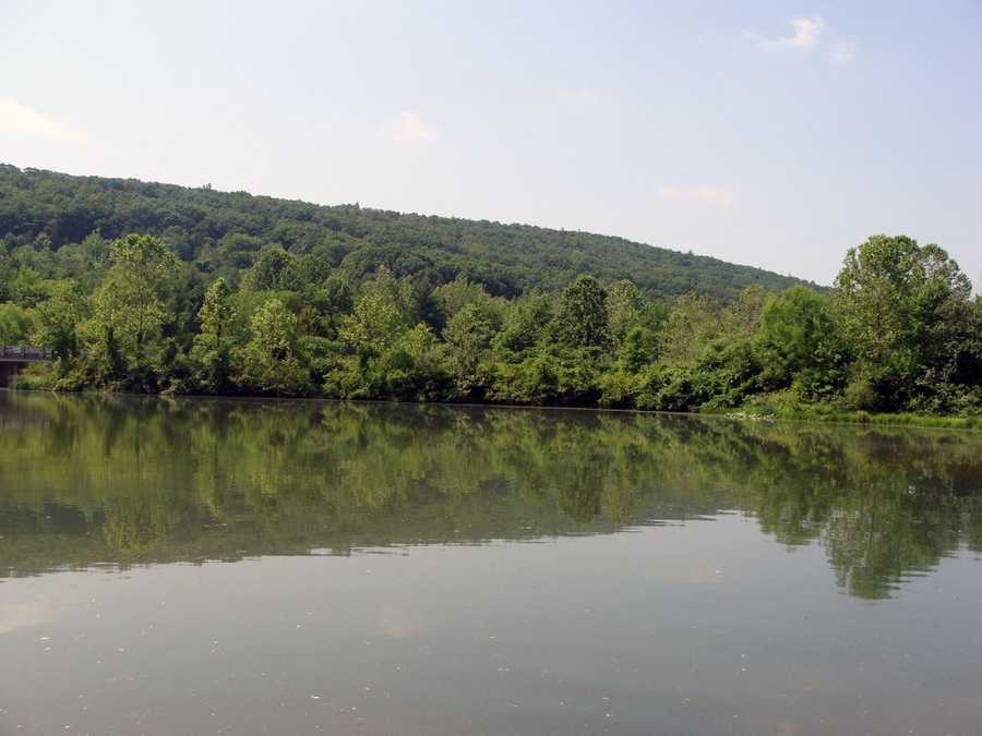 Boat, fish at Holman Lake