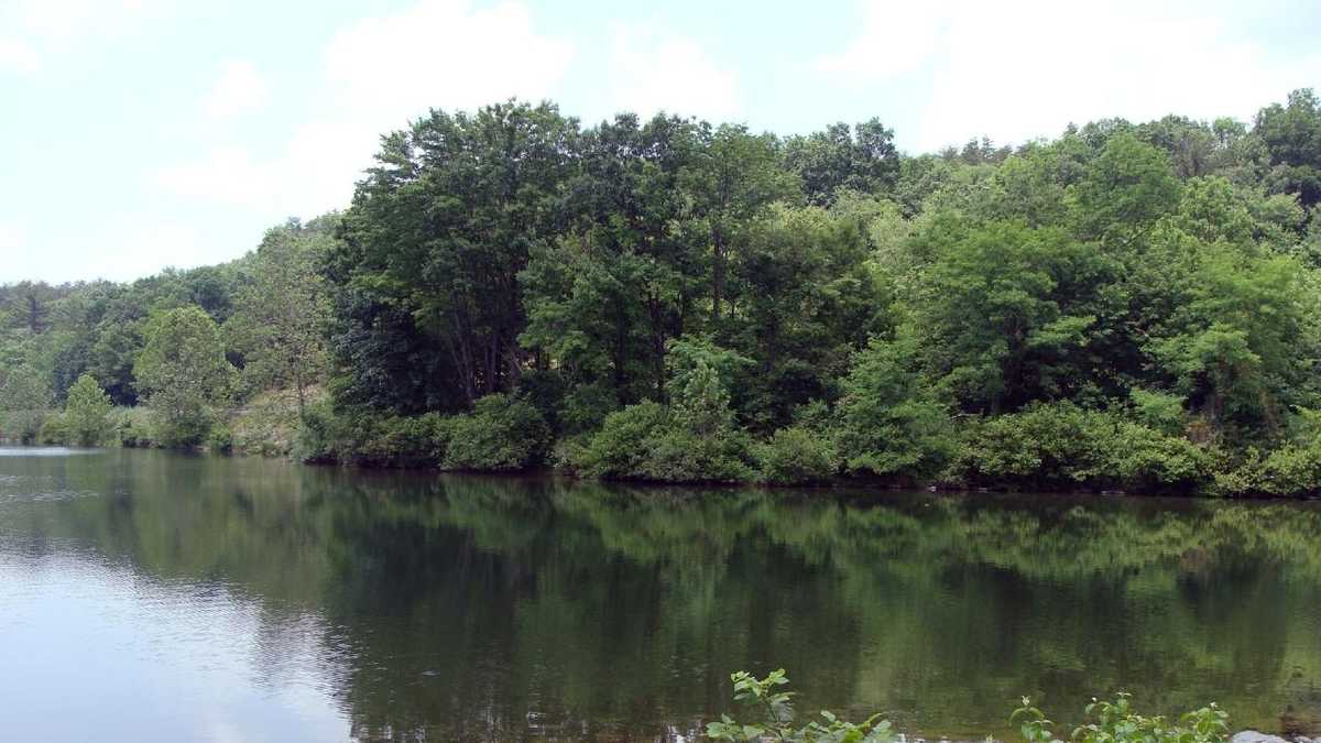 Boat, fish at Holman Lake