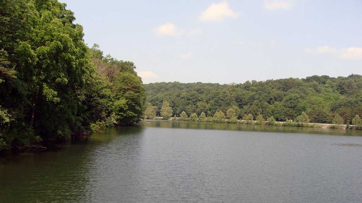 Boat, fish at Holman Lake