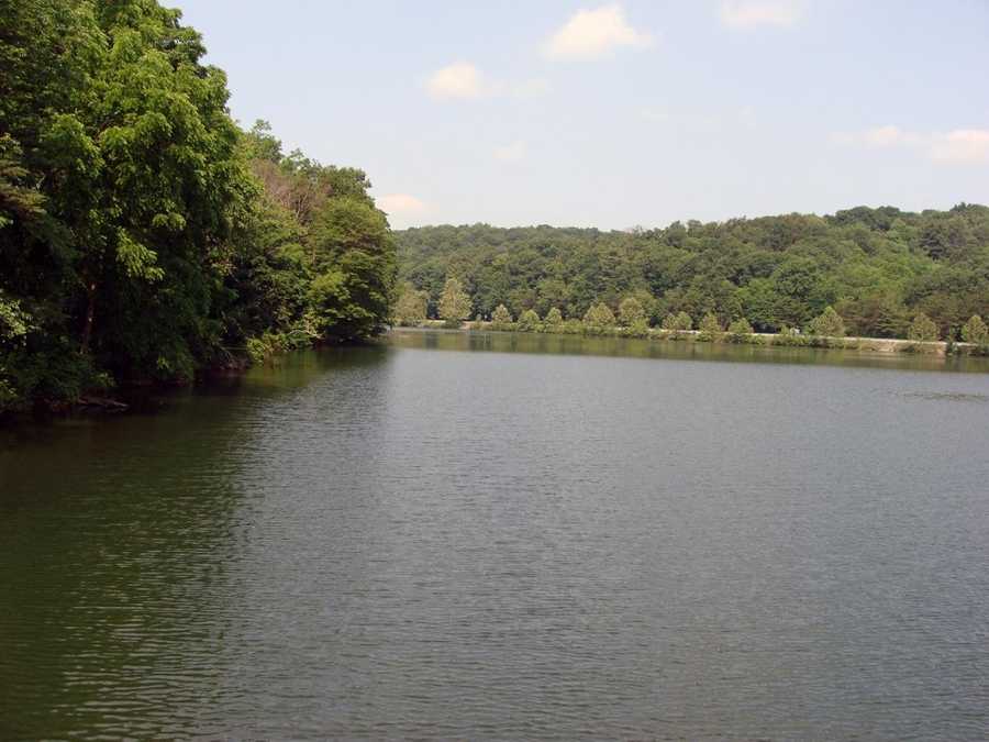 Boat, fish at Holman Lake