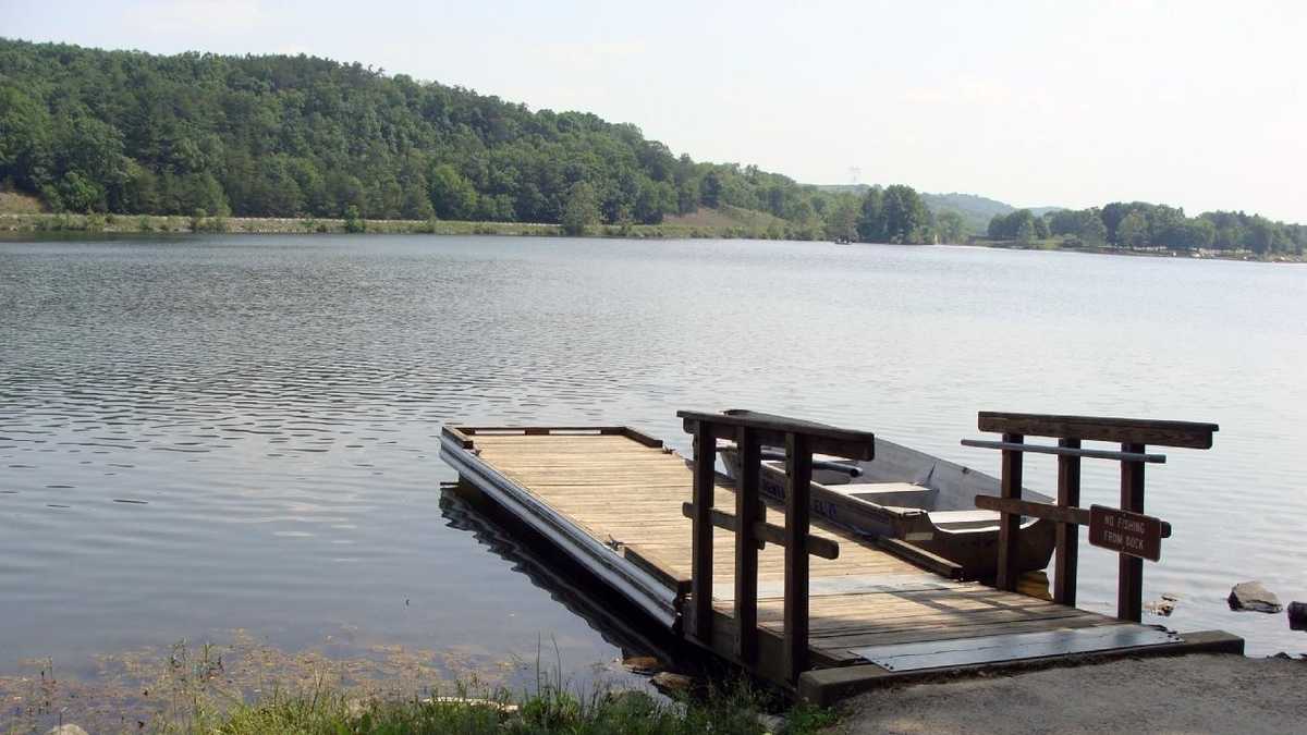 Boat, fish at Holman Lake