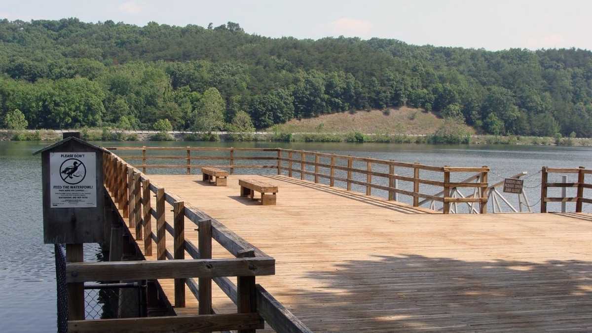 Boat, fish at Holman Lake