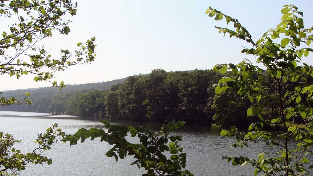 Boat, fish at Holman Lake