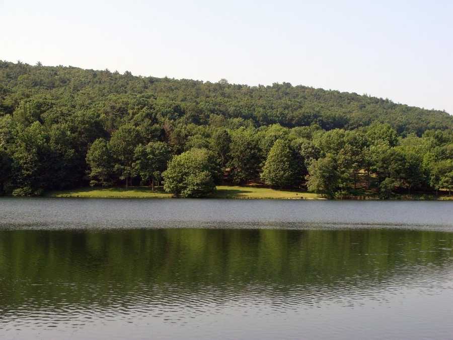 Boat, fish at Holman Lake