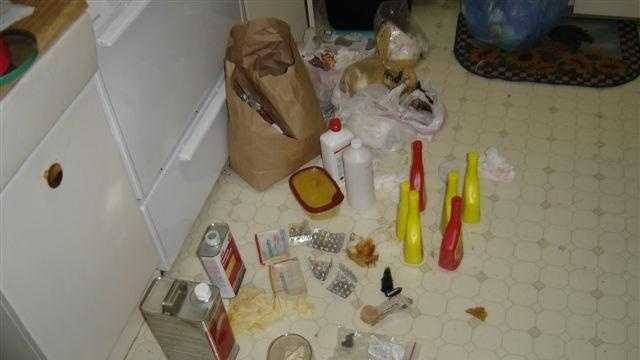 What does the inside of a meth lab look like?