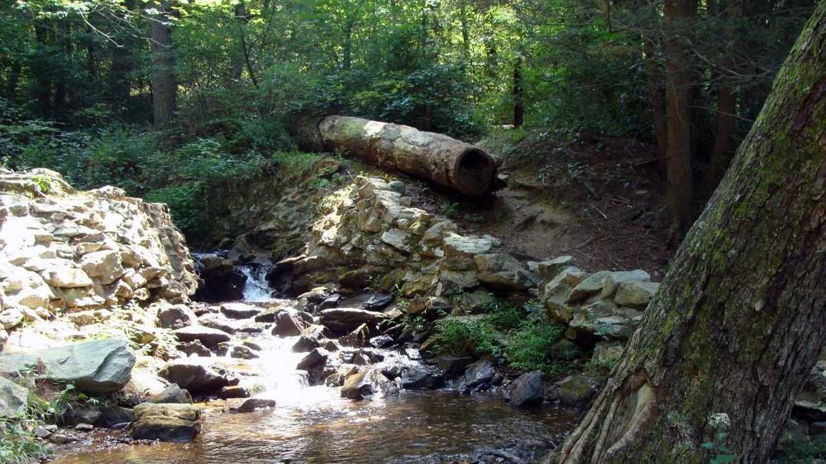 50 Photos Take virtual tour of Caledonia State Park