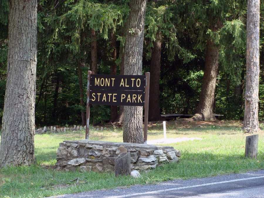 Explore Pennsylvania's oldest state park