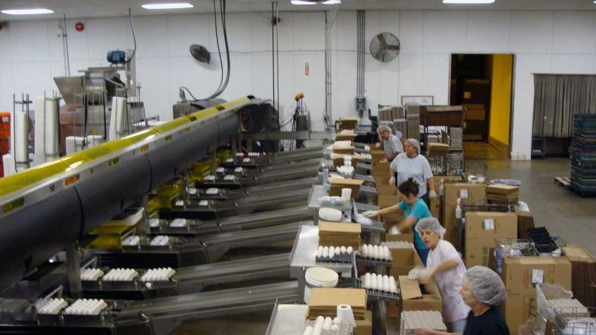 50 Photos Tour egg processing plant in Lancaster County