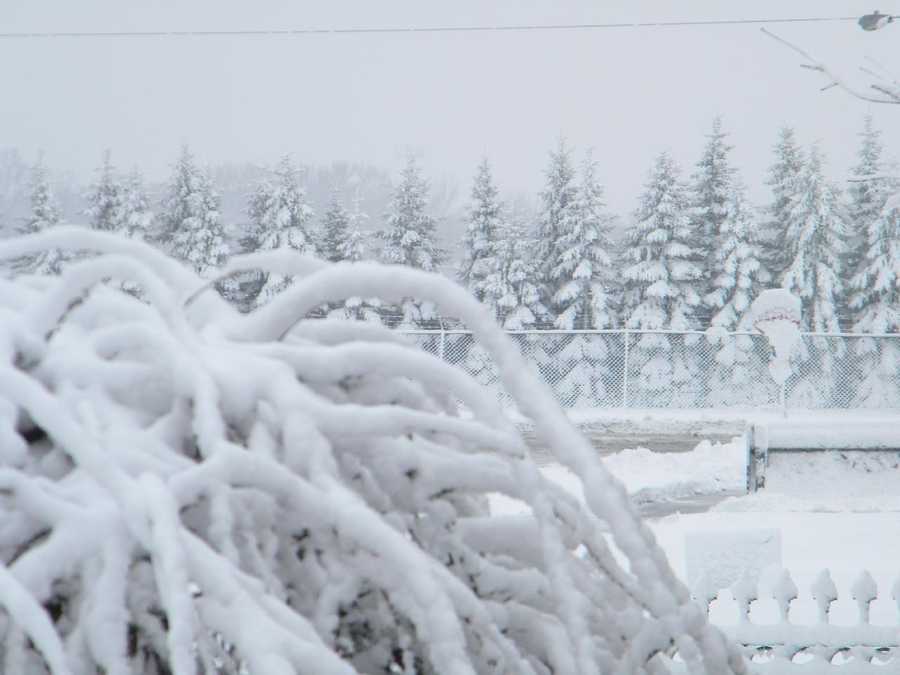 Southeast Wisconsin Snow Totals