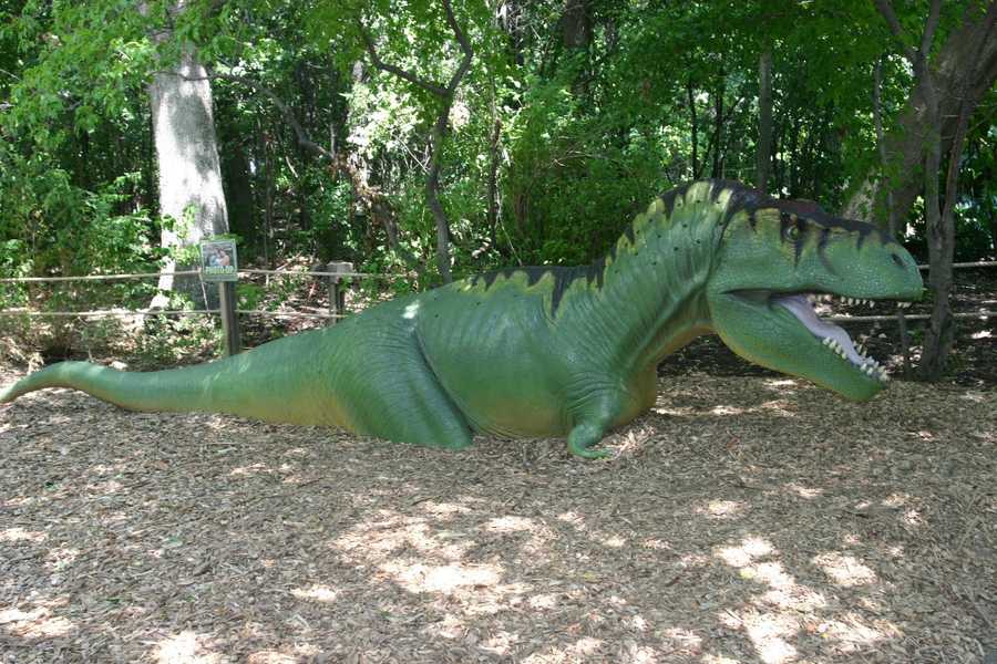 dinosaurs at woodland park zoo