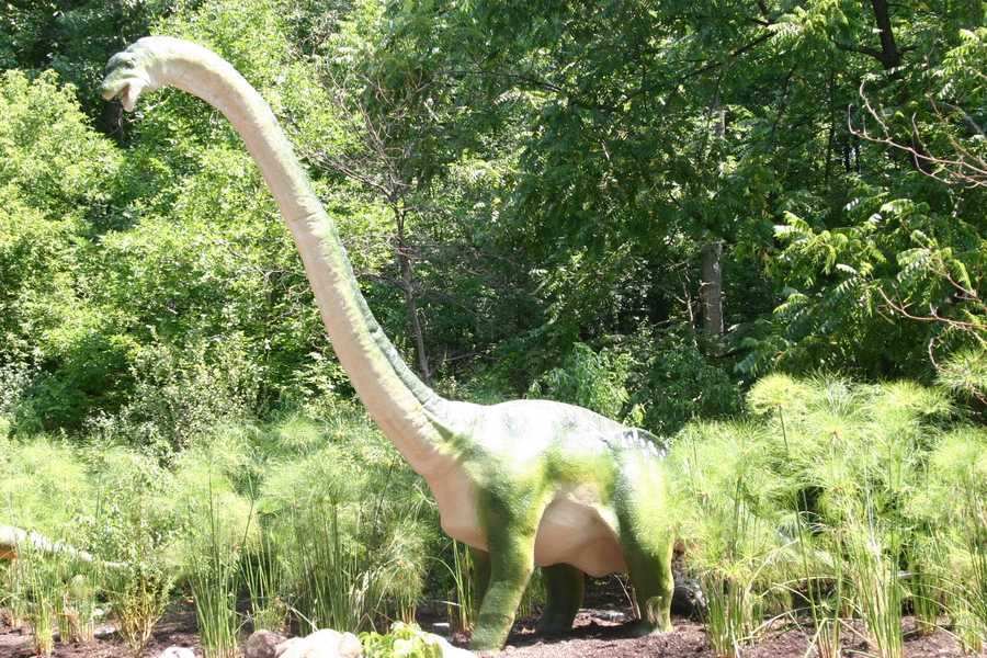 brachiosaurus plant eater