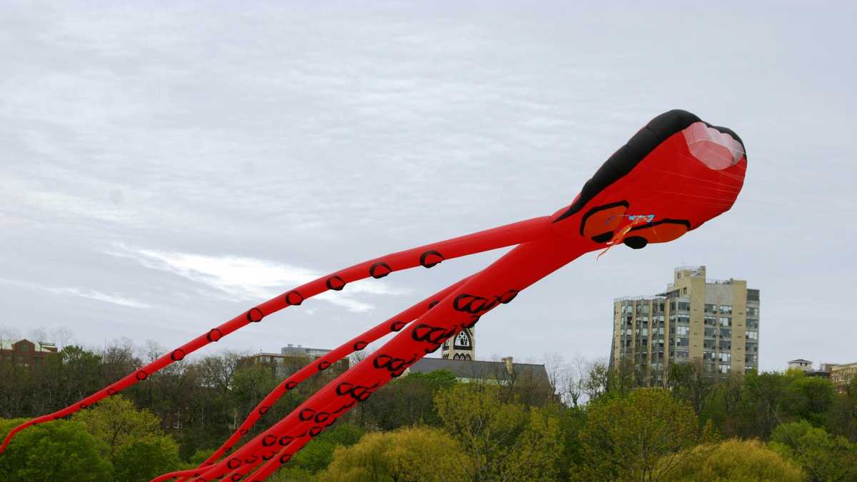 Photos Kite festival at Milwaukee's lakefront
