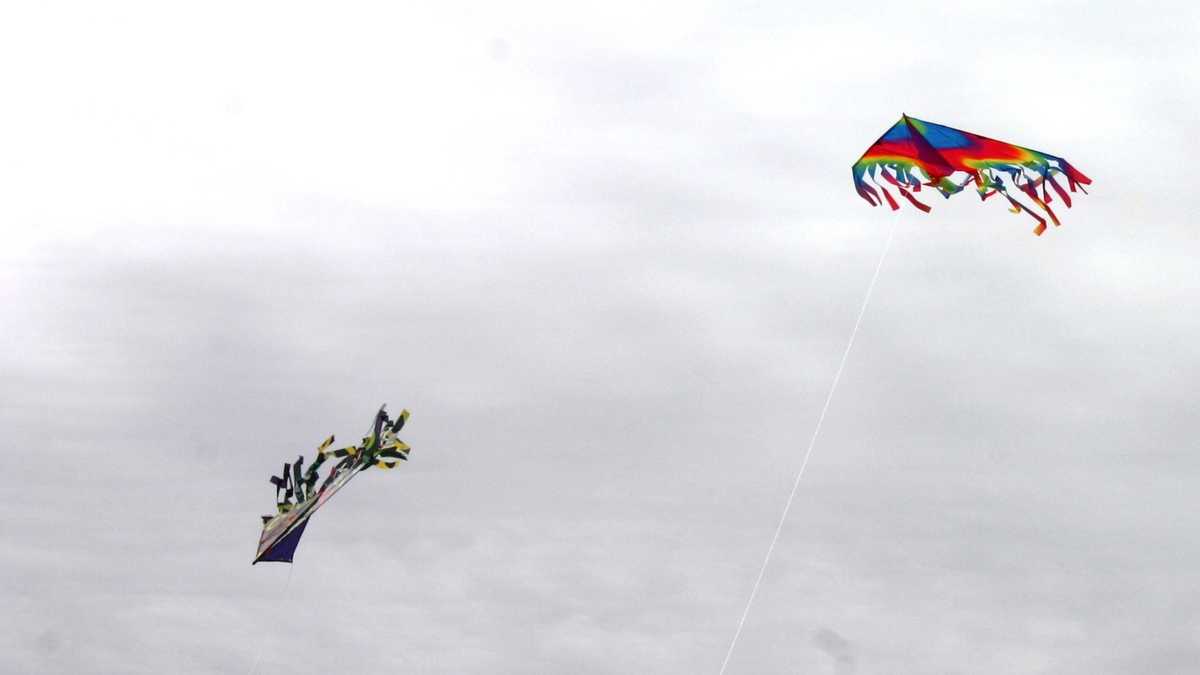 Photos Kite festival at Milwaukee