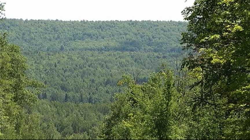 Gogebic Taconite wants to dig a huge open pit iron ore mine in the Penokee Hills on the border of Iron and Ashland counties.