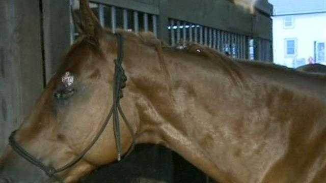 Horses hit by lightning; 2 riders injured in Eagle