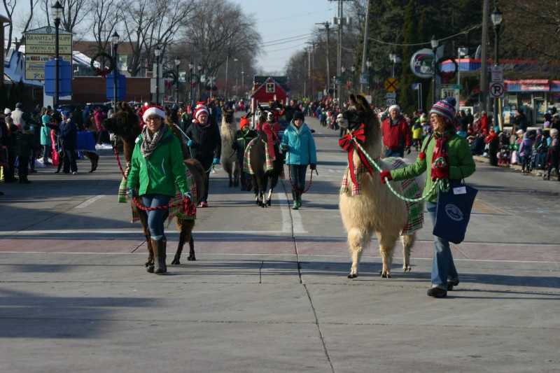 Grafton Christmas Parade 2022 Photos Grafton Christmas Parade Grafton Christmas Parade 2022 Photos Grafton Christmas Parade