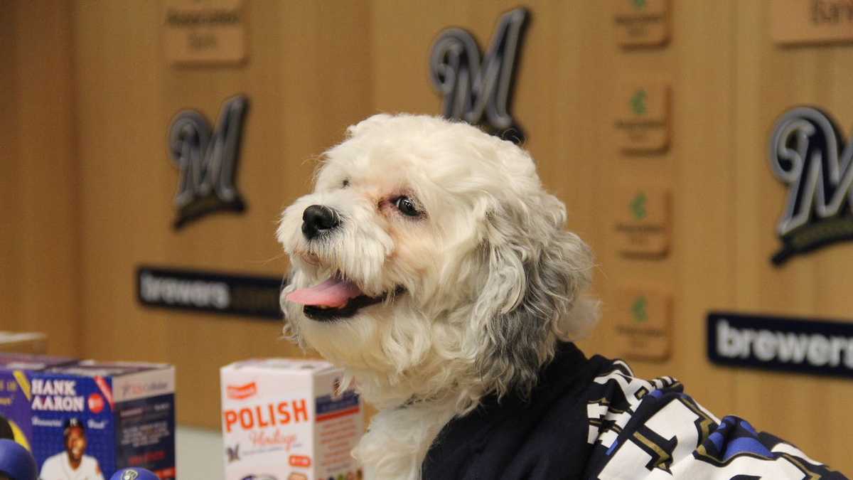 Hank The Dog Barking Bobblehead Milwaukee Brewers Mascot Puppy