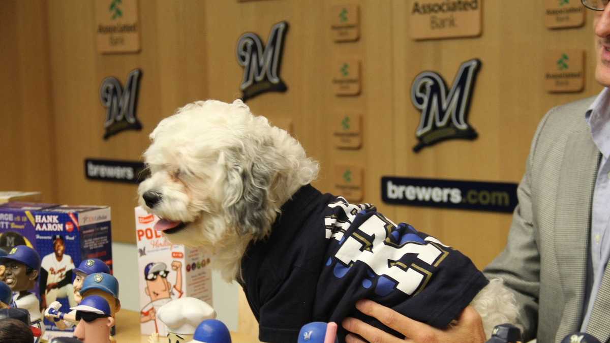 Hank The Dog Barking Bobblehead Milwaukee Brewers Mascot Puppy