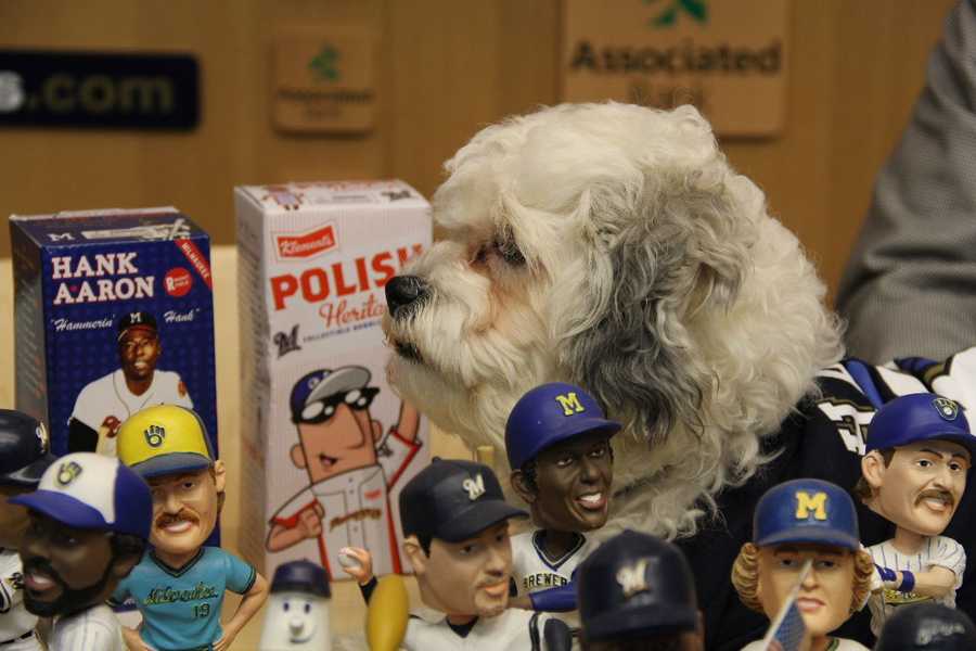 Hank The Dog Barking Bobblehead Milwaukee Brewers Mascot Puppy