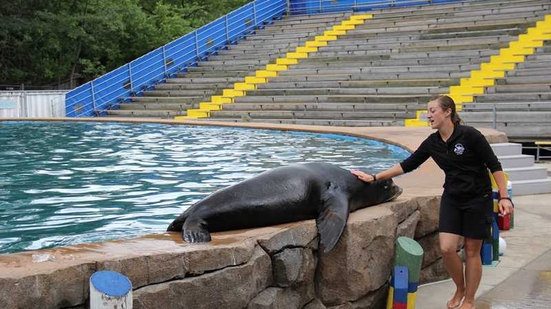 Sea Lions Live Full Show + Biff Pre-Show