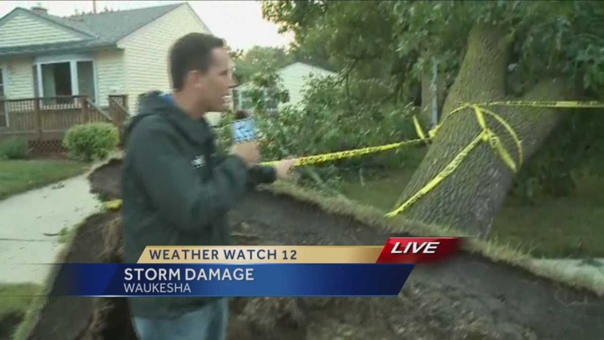 Storms topple trees across southeast Wisconsin