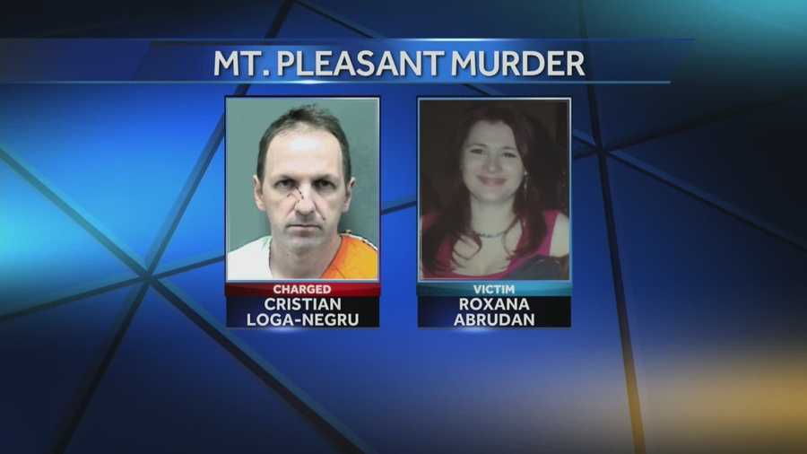 Cristian Loga-Negru is charged with killing his estranged wife, Roxana Abrudan, with a hatchet last month. Today he faces a competency hearing.