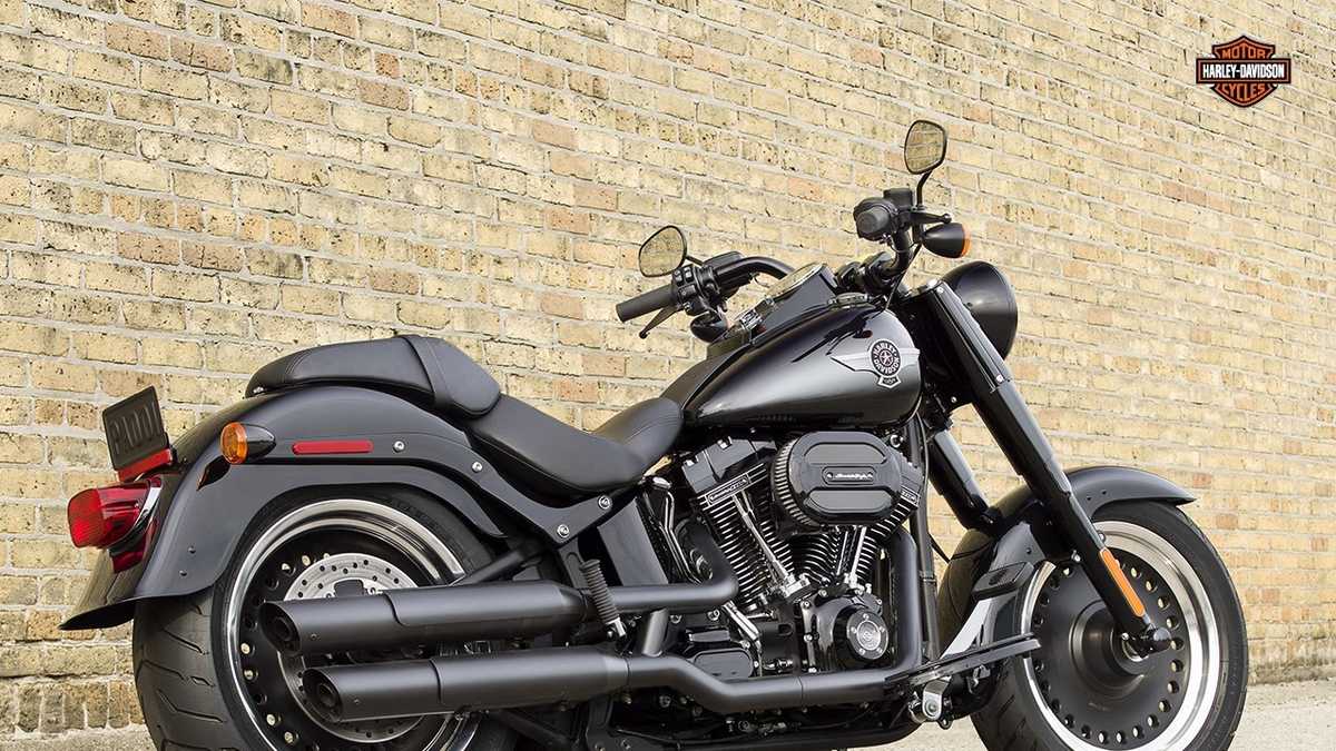See the 2016 HarleyDavidson models