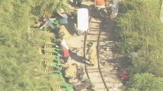 An attorney for the Louisville Zoo says the facility is immune to lawsuits over a 2009 train derailment.