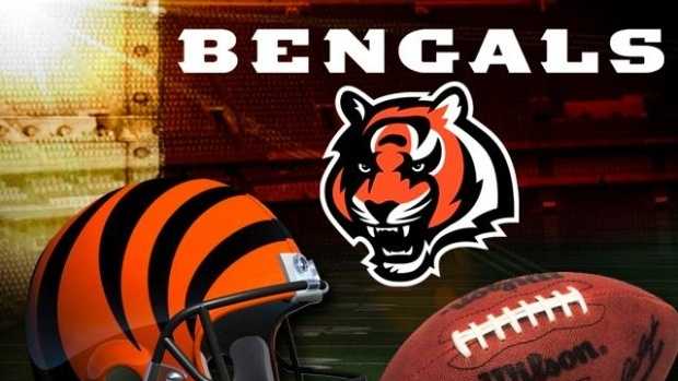 Given the choice of the Chicago Bears, Cincinnati Bengals, Dallas Cowboys, Green Bay Packers, Indianapolis Colts, Pittsburgh Steelers, St. Louis Rams and Tennessee Titans, the Bengals are the favorite team of Kentucky voters with 25%.