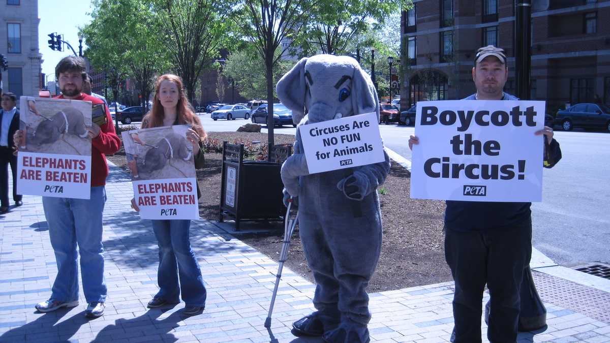 Images: PETA protests circus citing animal abuse