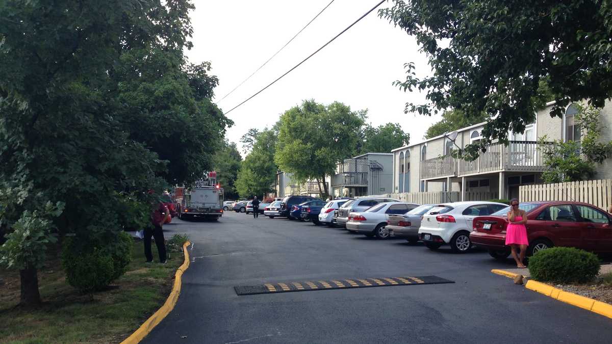 Images 4 shot on Gardiner Lane