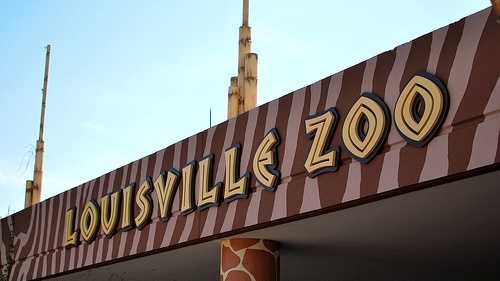 There are 1,300 animals at the 134-acre Louisville Zoo.