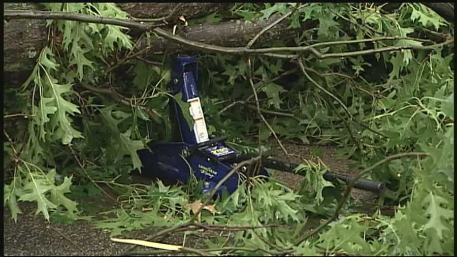 A 13-year-old boy died after he was hit by massive tree limbs on Wednesday afternoon.