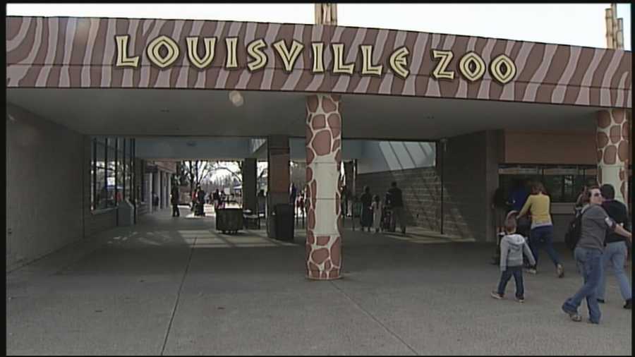 The decision of the Louisville Zoo to possibly begin selling beer has a lot of people sounding off.