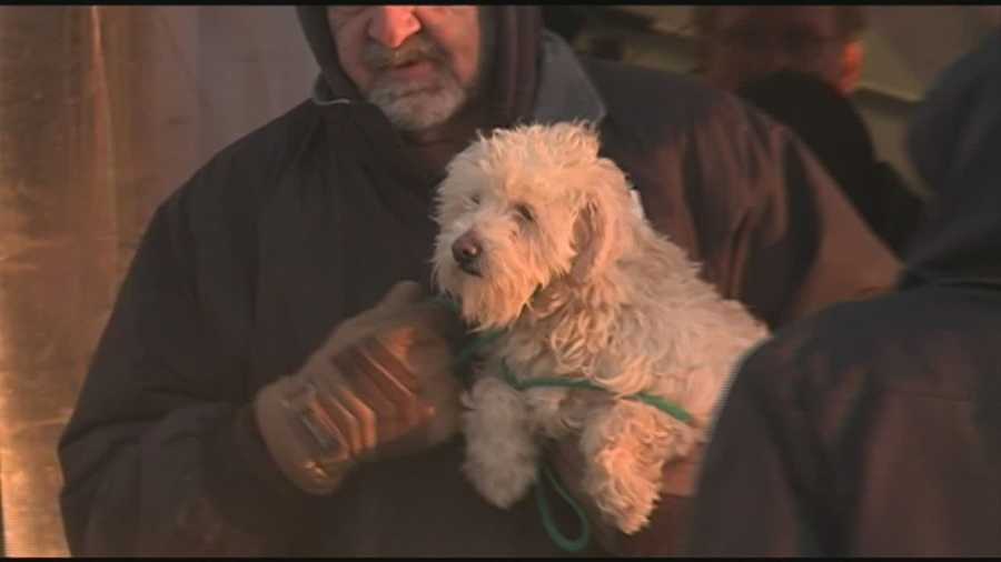 Forty dogs were rescued from a puppy mill and brought to Louisville Tuesday.