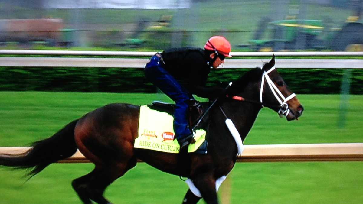 Images Kentucky Derby 140 contenders