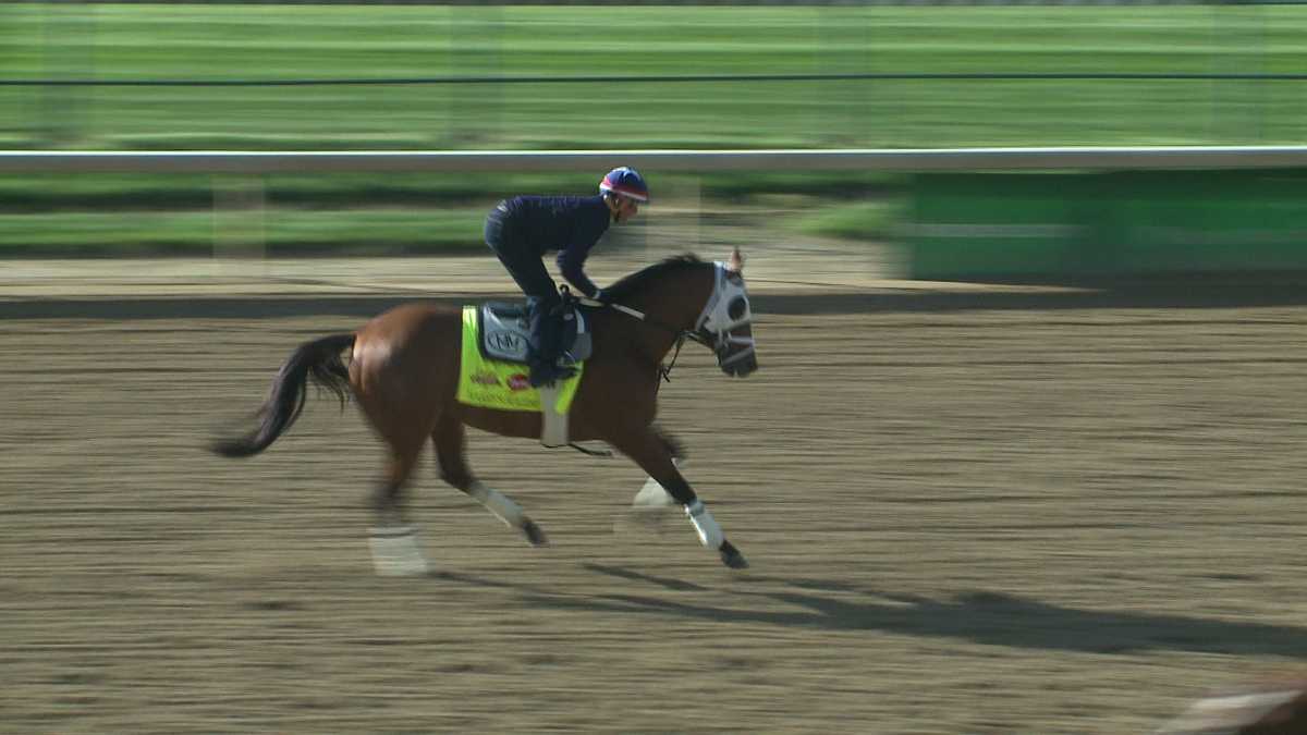 Images Kentucky Derby 140 contenders