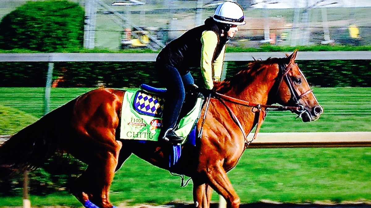 Images Kentucky Derby 140 contenders