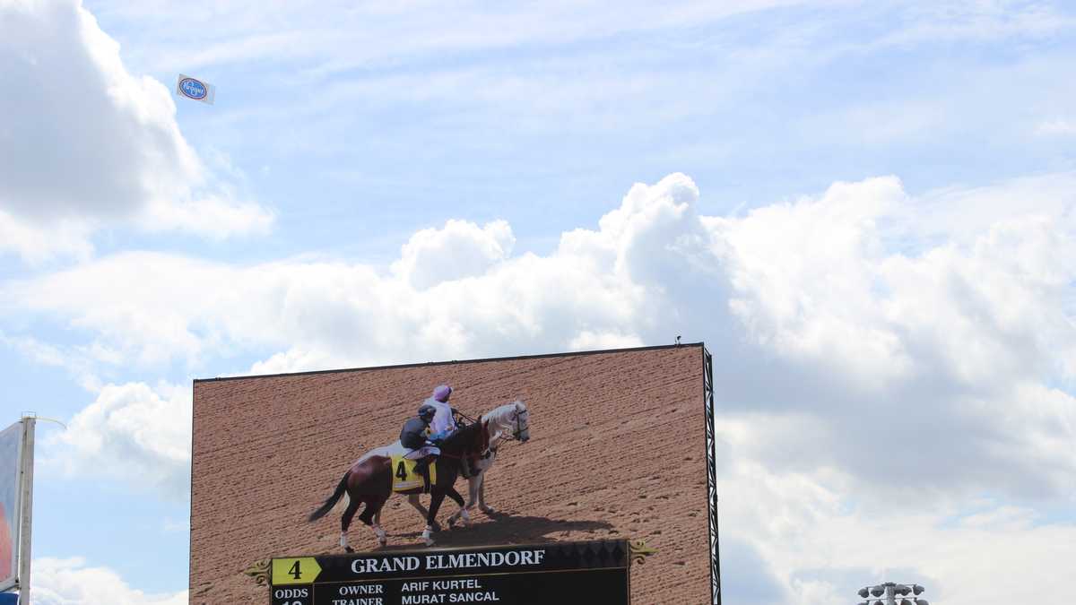 Images Early Oaks Day 2014