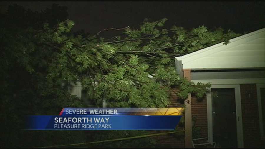 There were downed trees and power outages after a storm moved through the area.