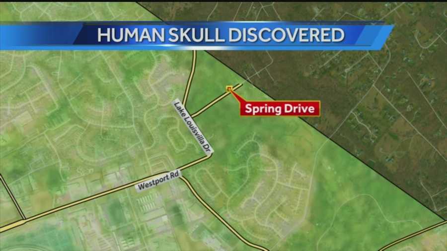 Human skull discovered at construction site likely at least 7 years old