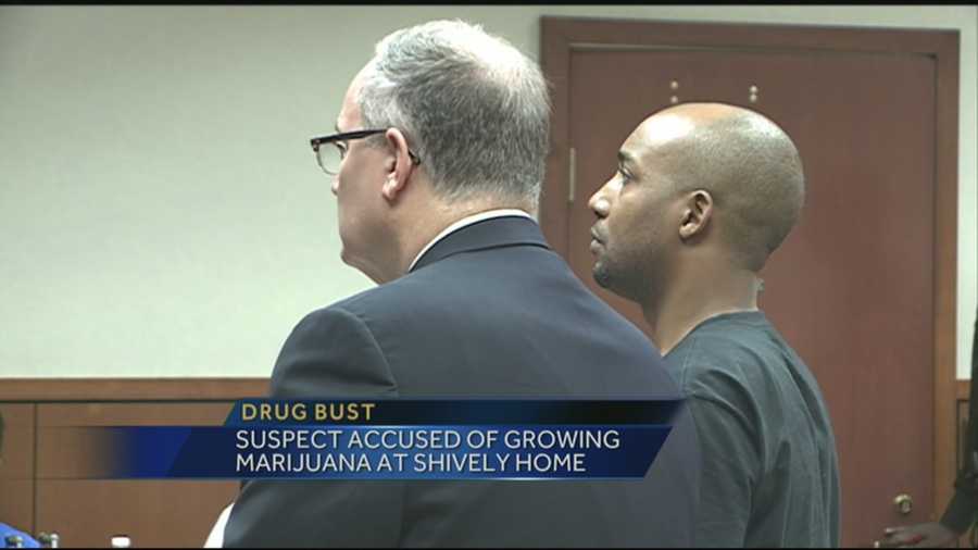 Louisville man arrested, accused of marijuana growing operation