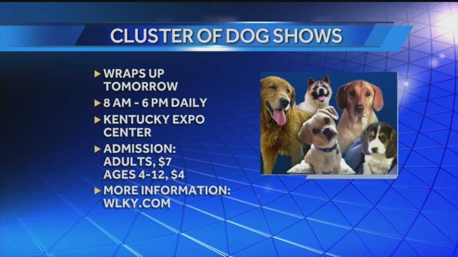 Cluster of Dog Shows
