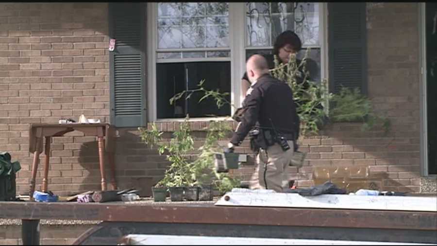 Sheriff's deputies seize more than 1,000 marijuana plants from Spencer County home