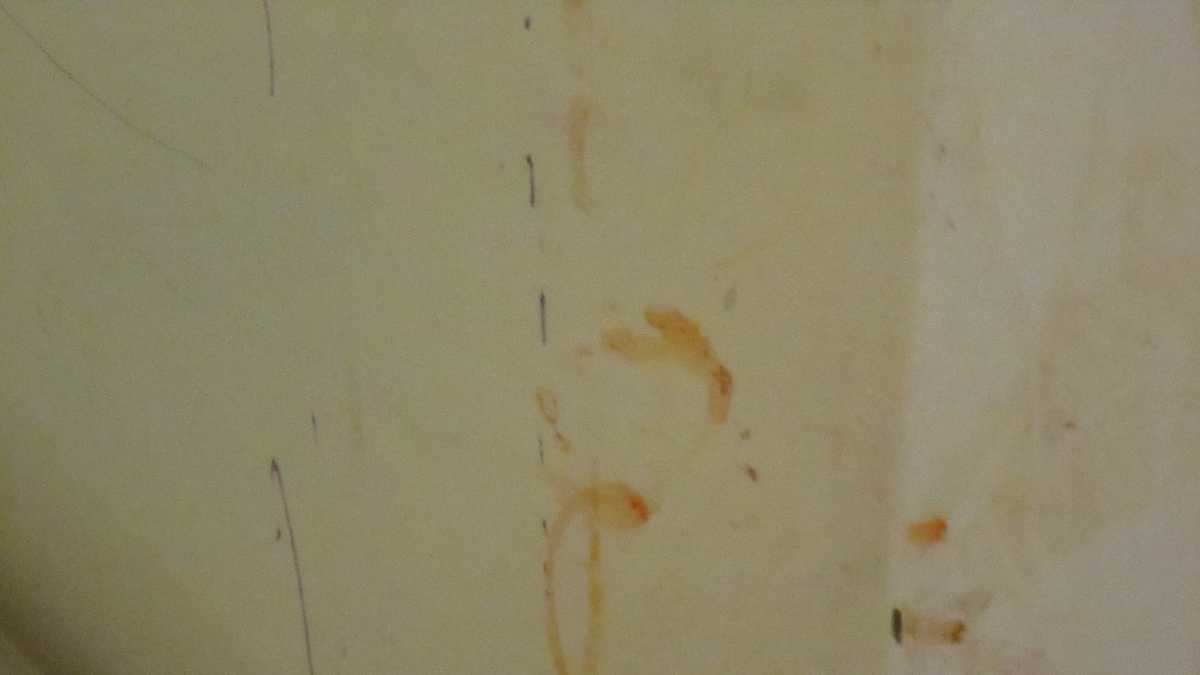 Parents arrested after children found living in deplorable conditions