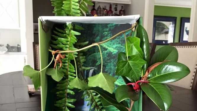 Heidi's Blog: Our last diorama Heidi's Blog: Our last diorama