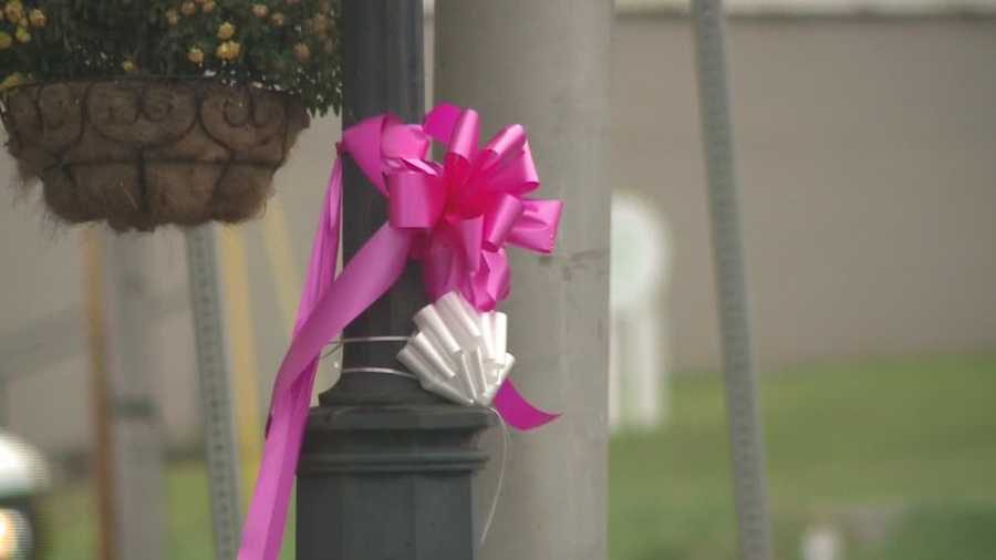 The city of Scottsville stretches just a few blocks and as far as the eye can see there are dozens of pink ribbons