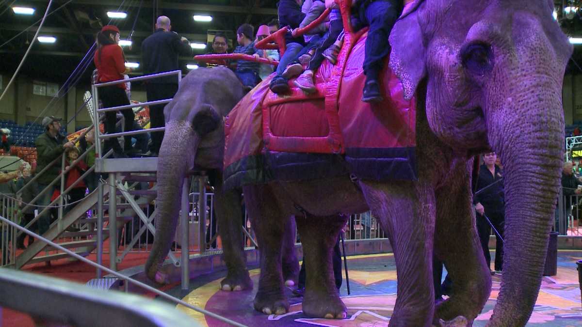 IMAGES The 91st Annual Kosair Shrine Circus