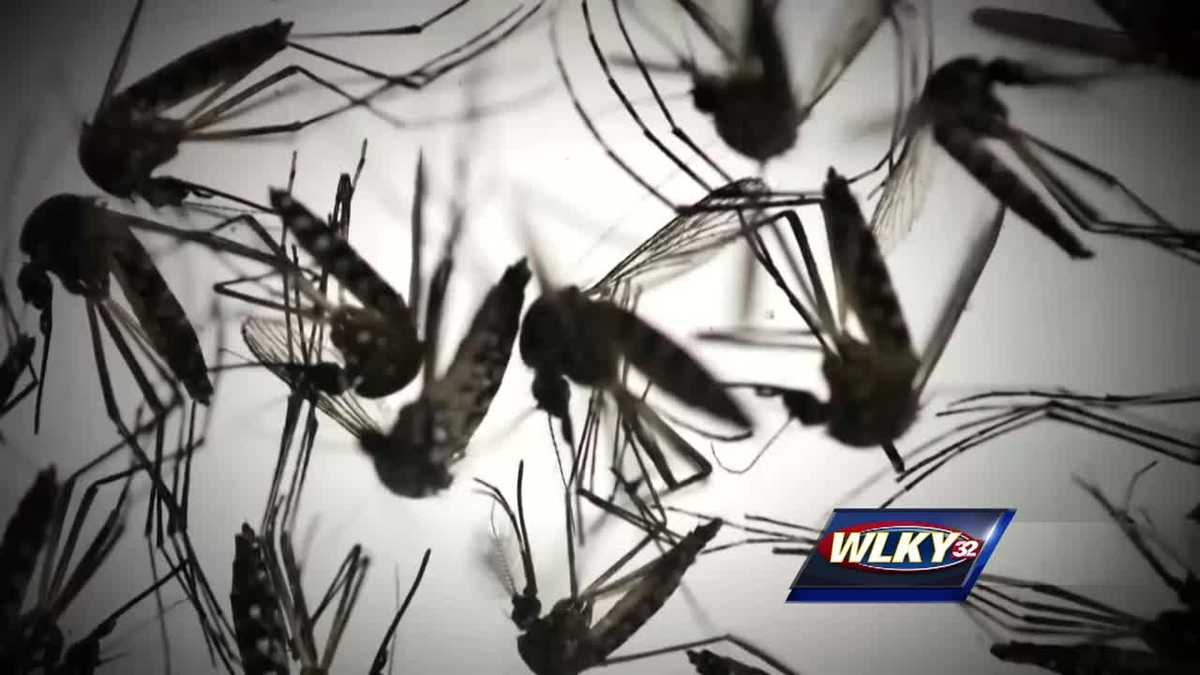 Travelers urged to take steps to prevent mosquito bites